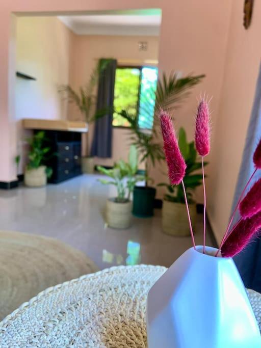 Bungalow X Garten & Terrasse X Wlan X Europaeisch Moshi Luaran gambar
