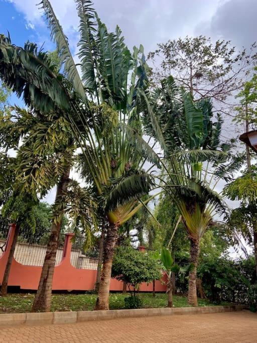 Bungalow X Garten & Terrasse X Wlan X Europaeisch Moshi Luaran gambar