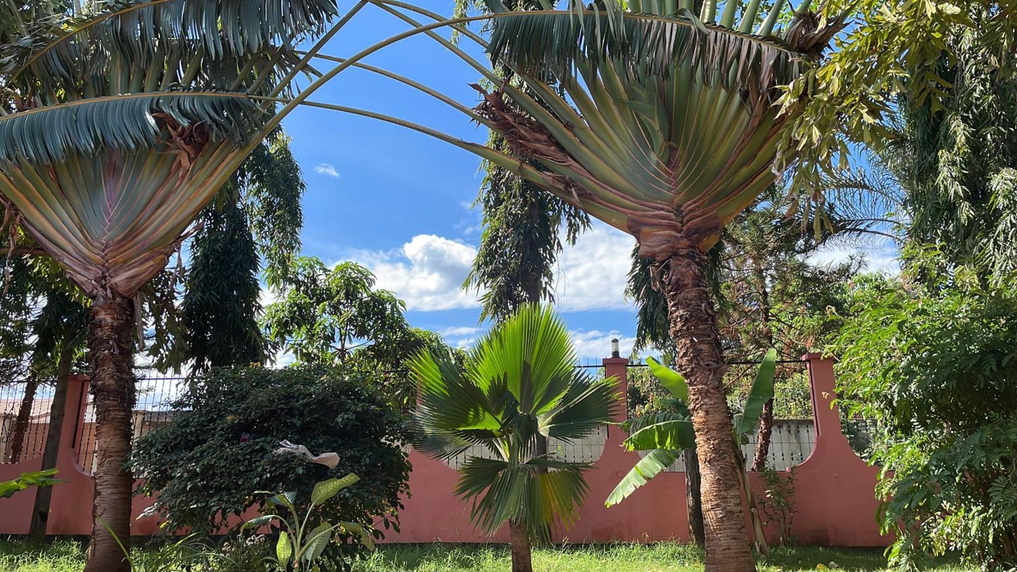 Bungalow X Garten & Terrasse X Wlan X Europaeisch Moshi Luaran gambar
